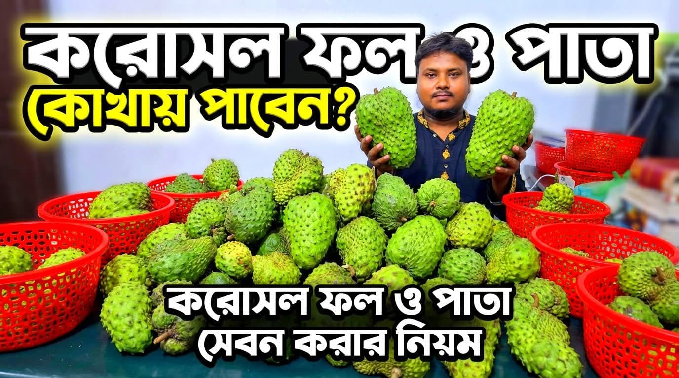 করোসল ফল কোথায় পাবেন?
