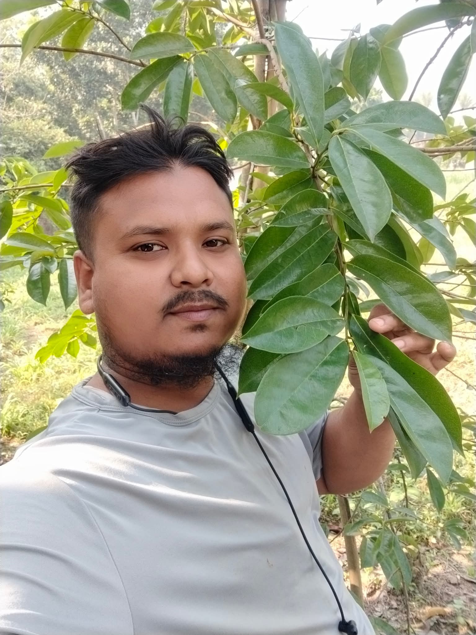 করসল গাছ লাগানোর নিয়ম এবং পরিচর্যা