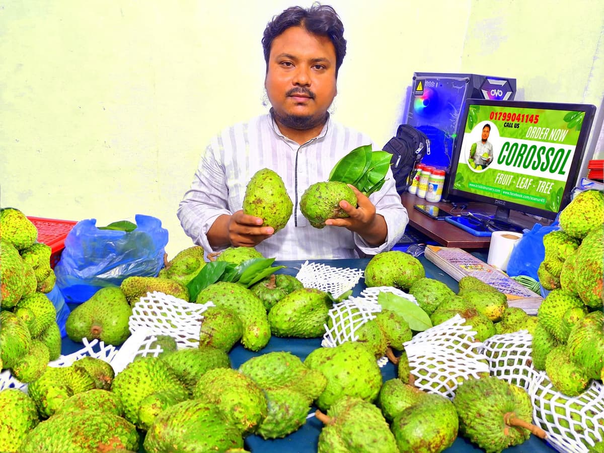 করোসল ফল (COROSSOL FRUIT)