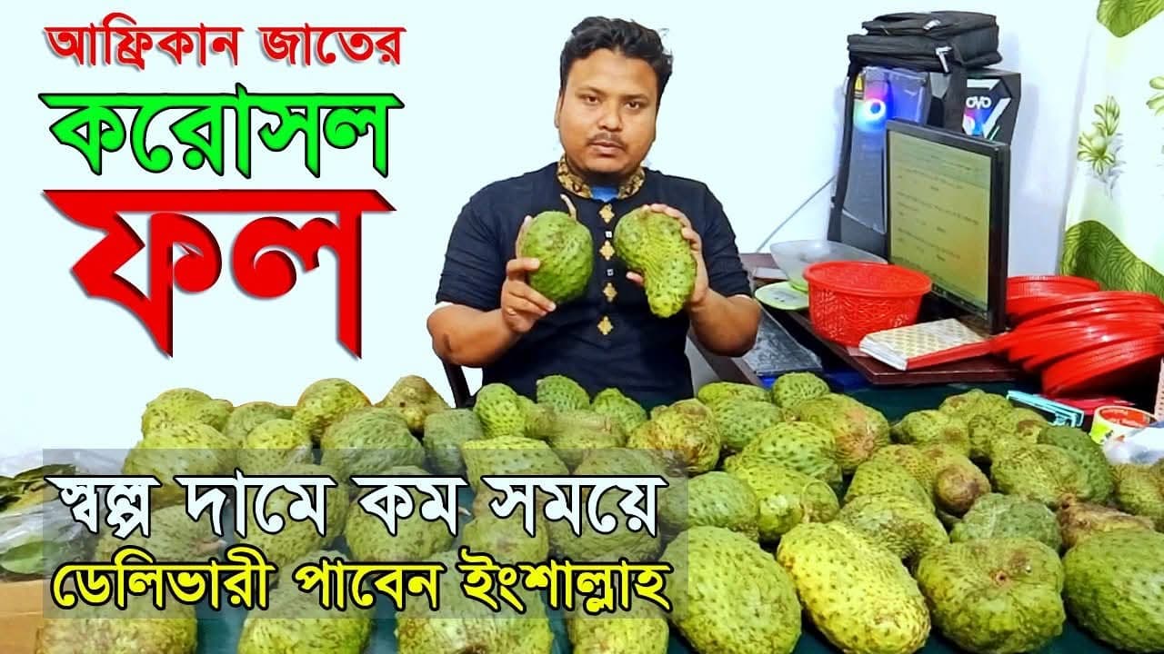 করোসল ফল (Soursop বা Graviola)
